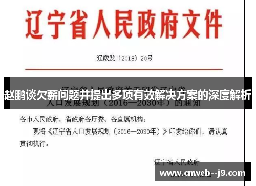 赵鹏谈欠薪问题并提出多项有效解决方案的深度解析