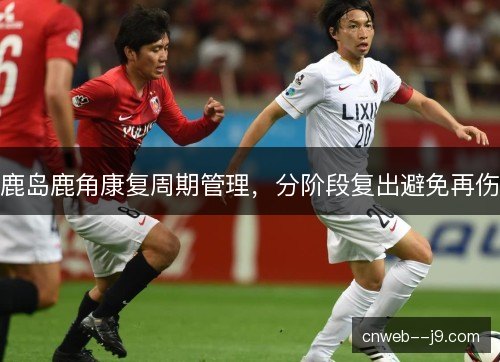 鹿岛鹿角康复周期管理，分阶段复出避免再伤